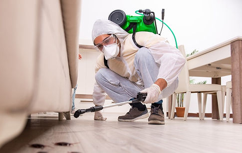 Professional-Pest