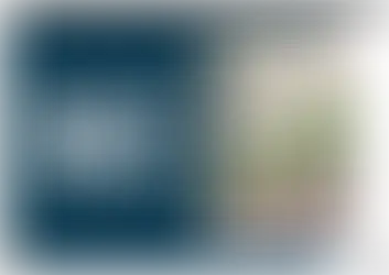 Why Should Islamic Economics?