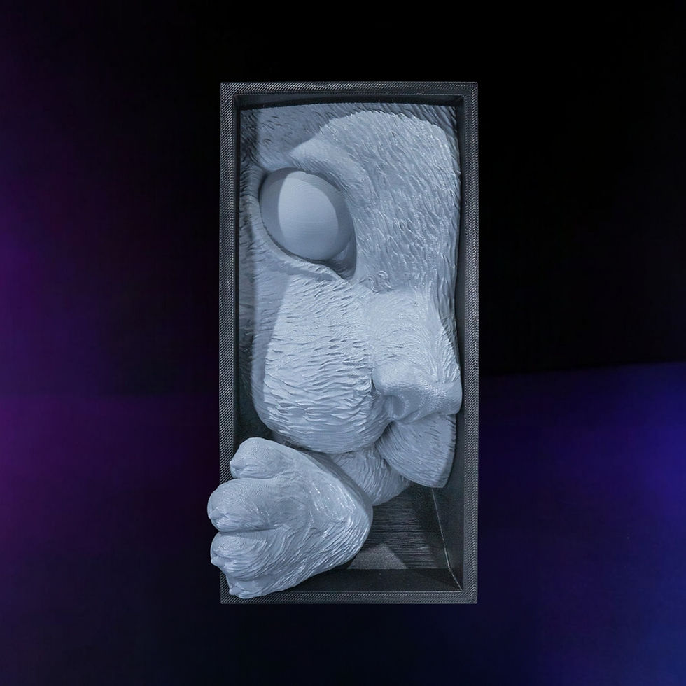 Thumbnail: Cat's Curiosity Book Nook