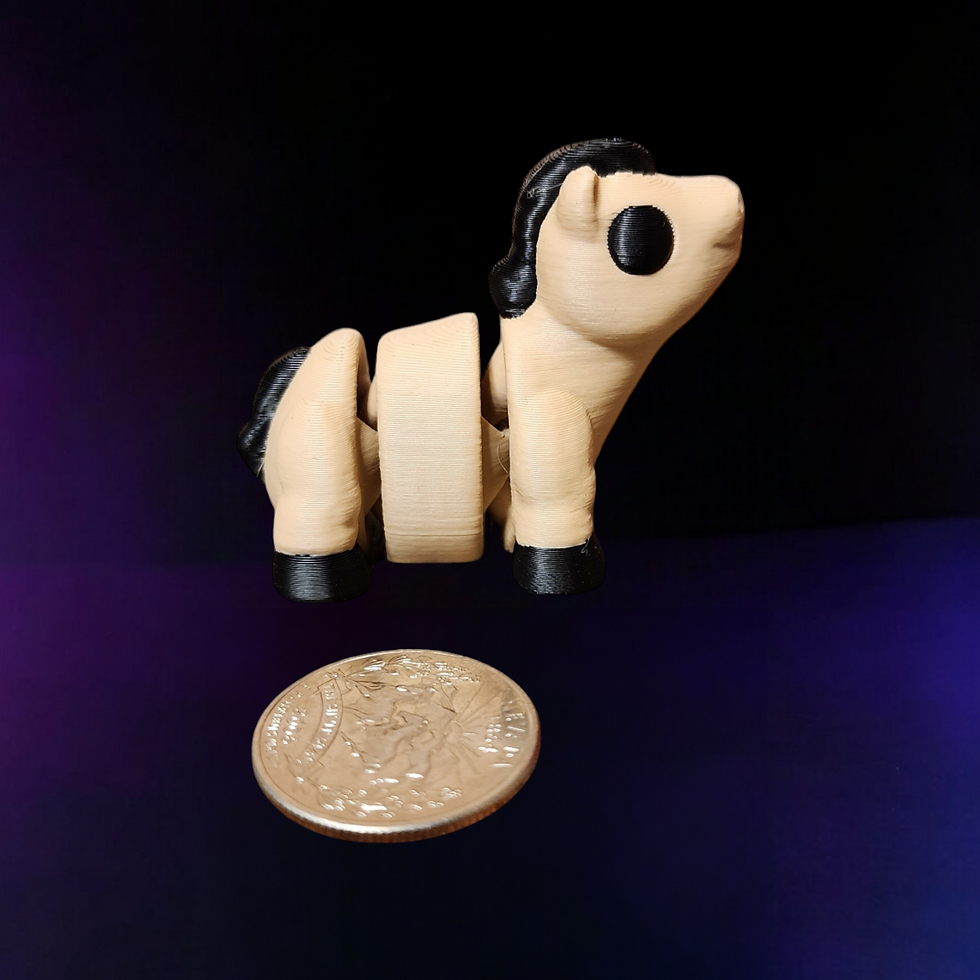 horse next to quarter for size comparison