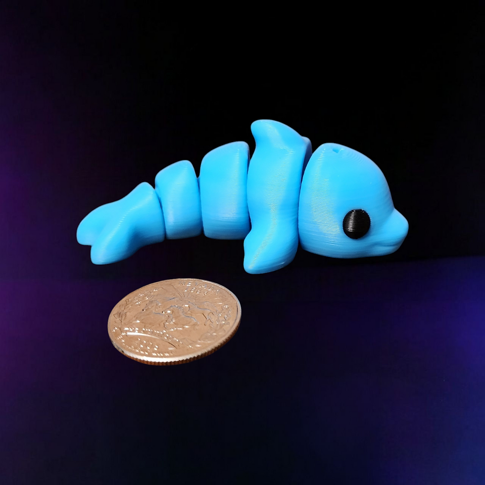 dolphin next to quarter for size comparison