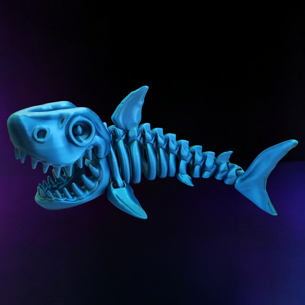 skeleton shark from the side of it with mouth open