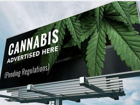 Marketing de cannabis: las empresas retoman la radio y televisión para atraer clientes 