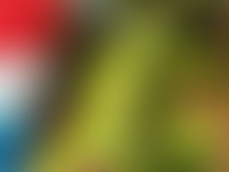 Luxemburgo sigue el ejemplo de Francia y prohíbe la flor de cannabis