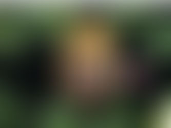 Un paso más para los psicodélicos y el cannabis: La DEA apuesta por un mayor desarrollo en estudios científicos