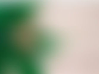 El cultivo de cannabis doméstico impulsa el mercado mundial de semillas