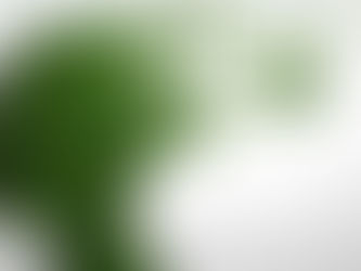 Investigadores advierten sobre el uso no regulado de cannabis en la epilepsia: lo que debes saber 