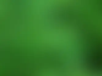 Beneficios del cannabis en la salud