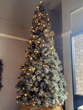 undecorated-Christmas-tree-sample.JPEG