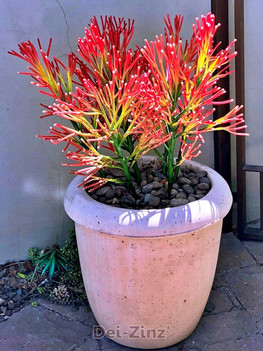 artificial firestick pencil cactus