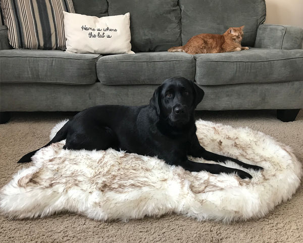Thumbnail: Beige Plush Pet Dog Mat for Resting and Comfort