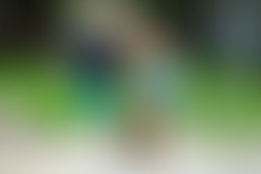 Photo of two young children playing with a Tree Blocks toy set, holding wooden blogs in their hands while they run around the set.