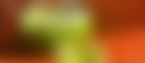 Maydanozlu Zencefil Shot 🤒