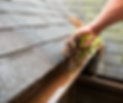 Gutter Clean-out