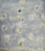 Windfall