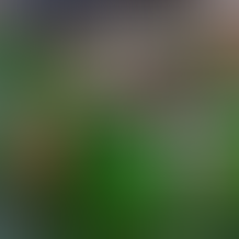 Cinco opções vegetarianas e veganas em Brasília, mesmo para quem não é vegano ou vegetariano