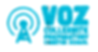 Thumbnail: Voz Horizontal Logo 6 Inch Wide Design