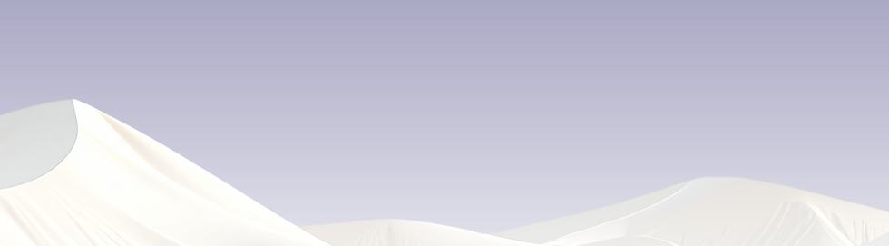 Copy of Untitled (8).png