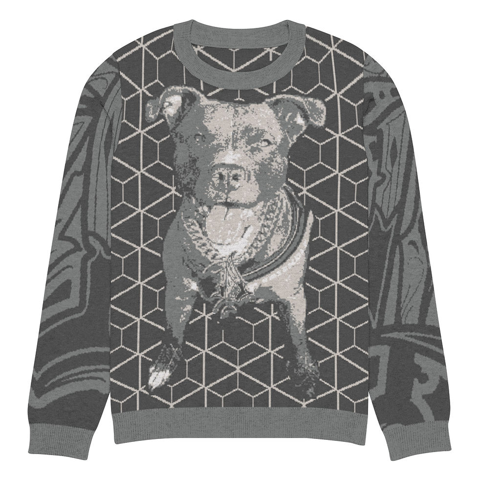 Knitted crew neck sweater