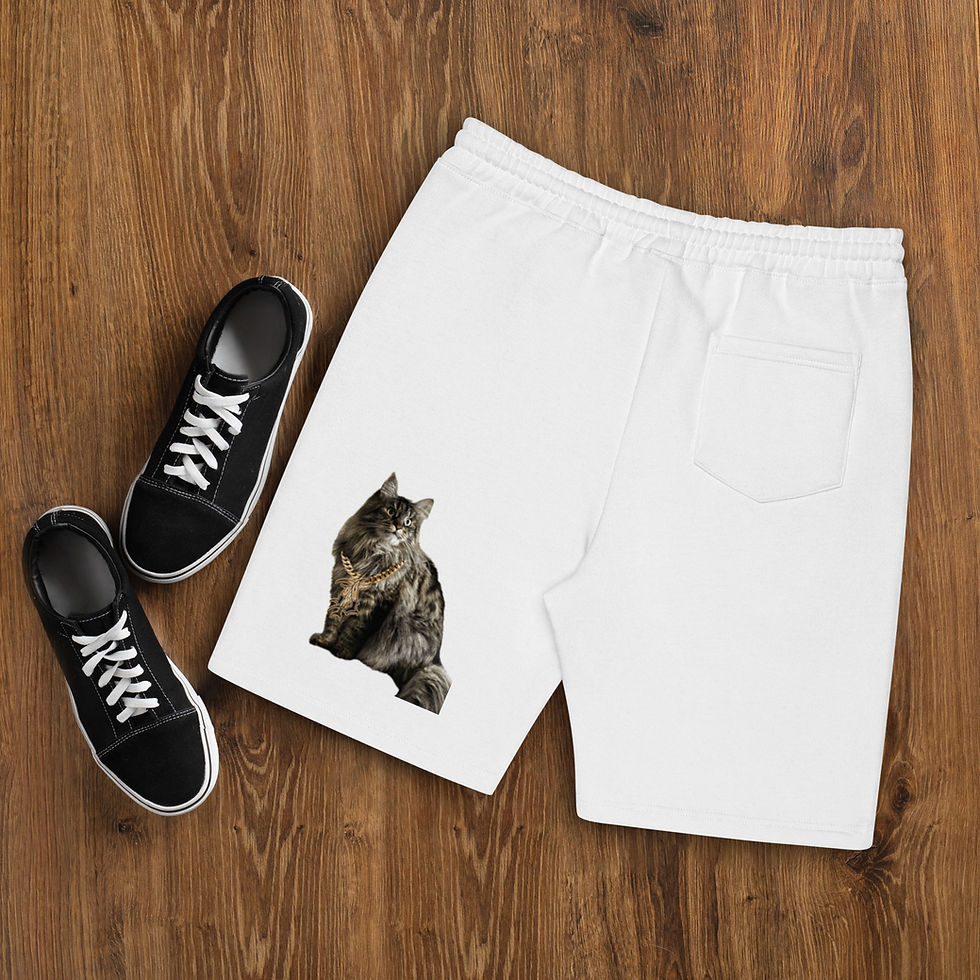 Thumbnail: Men's fleece shorts