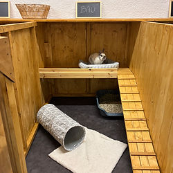 Chambre pension