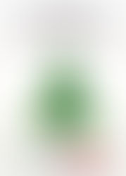 Feliz Año les Deseamos a Todos Nuetros Clientes en Monterrey