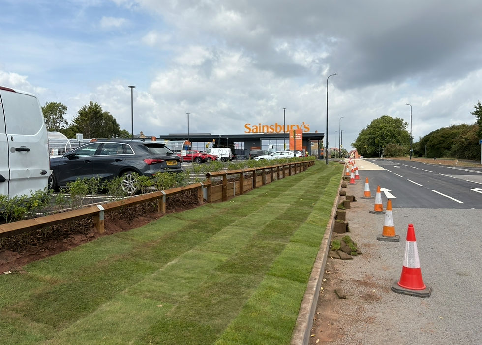 Close-up view of freshly laid turf with rich green grass