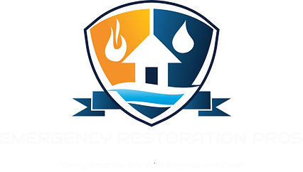 All white leters of TX.png