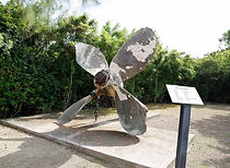 Wreck of Ten Sails Cayman Islands Amvivo