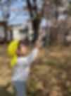 IMG_9157.jpeg