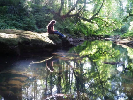 Reflecting.
