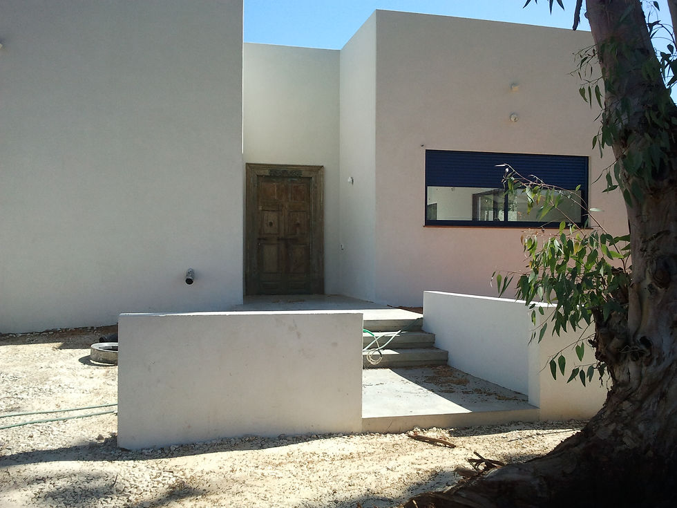 השחף עין שריד