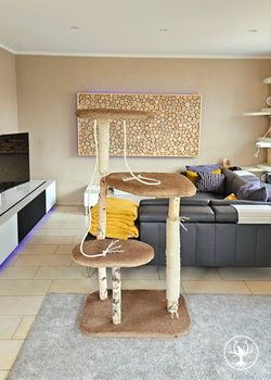 Hoher Katzenbaum mit 3 Etagen für aktive Katzen, gefertigt aus echten Birkenstämmen – Cat Tree Natur