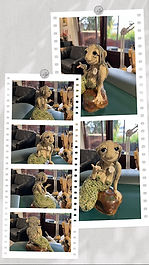 vera (3)_edited_edited.png