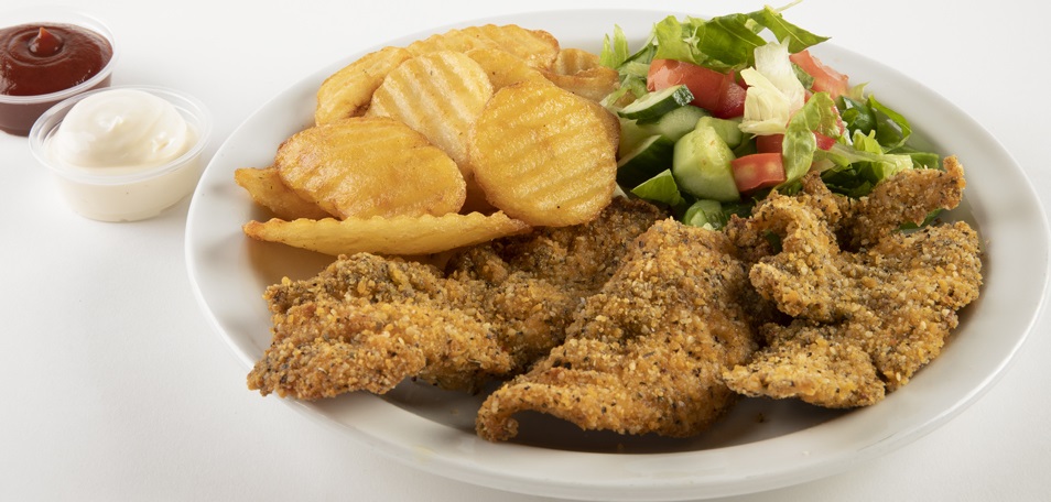 שניצל פוינט תל אביב – אבן גבירול