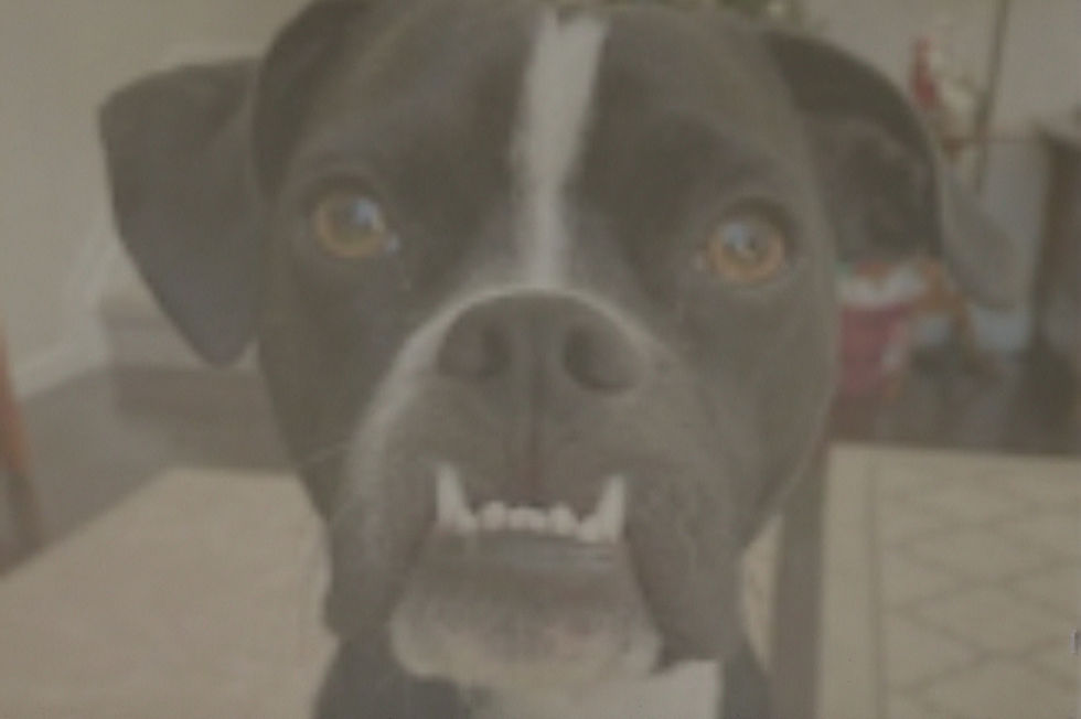 ree