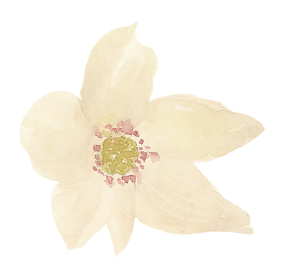 flower19.png