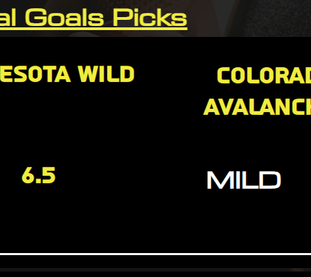 Hockey Betting 101 - What the puck is a Puckline?