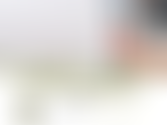 PuckLuck Primer 10/30/23: Units vs. Suggested betting Percentages