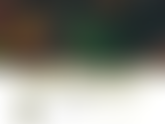 PuckLuck Primer 11/2/23: The Betting Model Is Learning