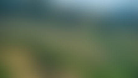 AOC Wine - What are French Classifications?