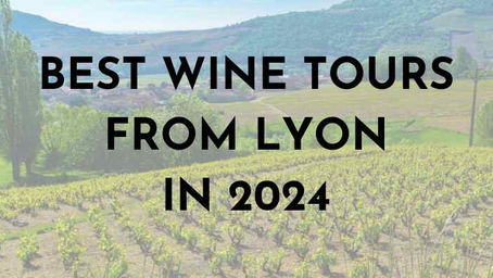 Best Wine Tours from Lyon in 2026