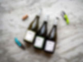 northern rhone wine region bottles