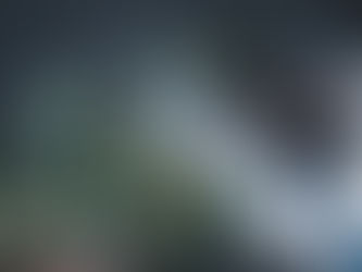 [Ep-36] 完全沒經驗的人如何開始養第一株植物：從選擇到療癒的完整指南