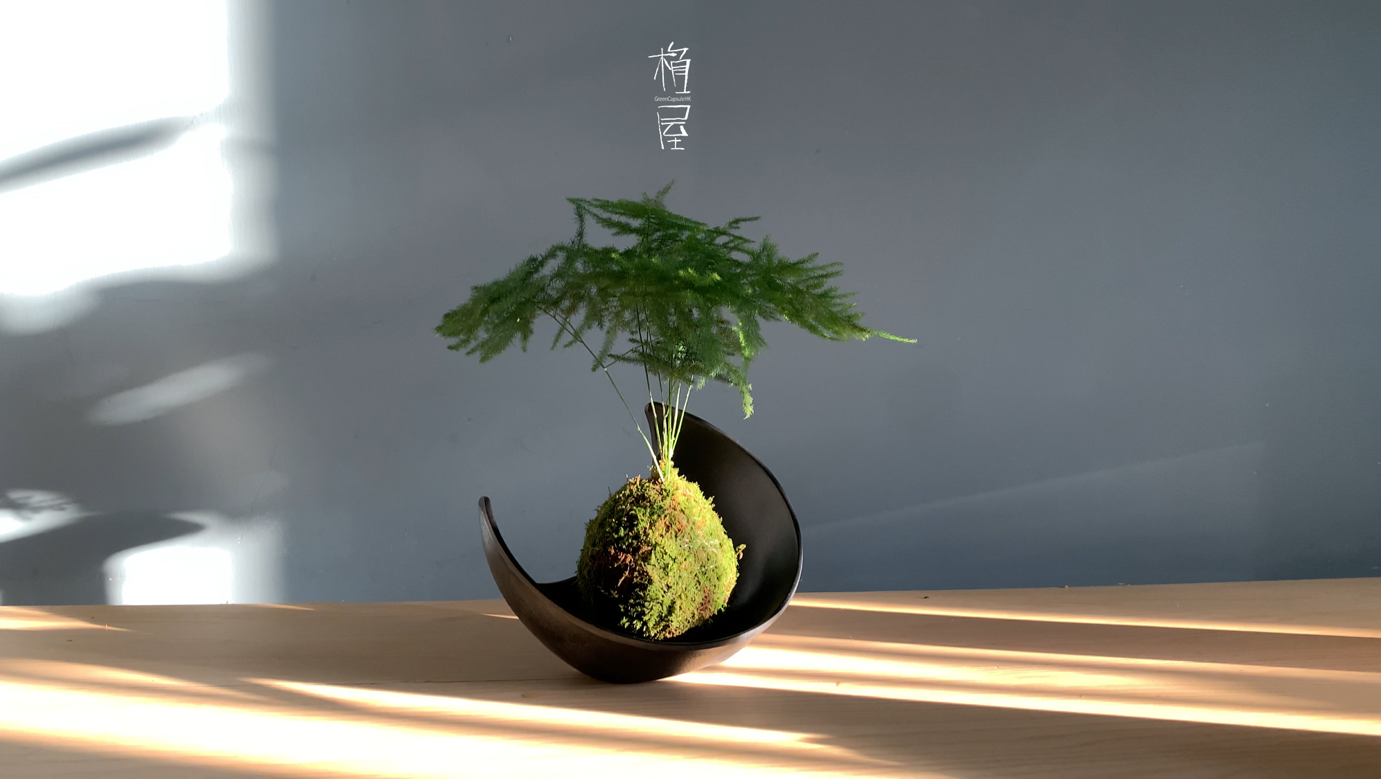 三日月 形苔玉底碟啞黑色 Greencapsule Hk 三日月 形苔玉底碟啞黑色 Greencapsule Hk