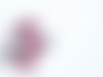 [Ep-26] 淺談楓樹小盆景-出猩猩-種植要點