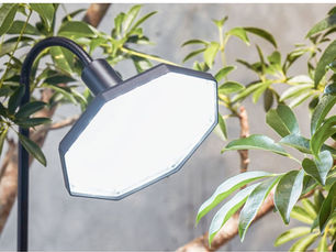 [Ep-33] Barrel Plant Light- ROKI-Octagon-50W