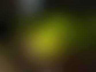 [Ep-01]苔蘚簡介 Introducing the Moss