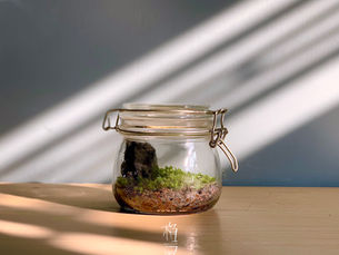 [Ep-04] 全日照-半日照-半陰(散射光)？