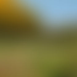 Parco Naturale Marche | Amadei Hotel Pesaro